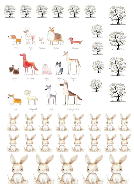 Z_Stampa fotoceramica Decal